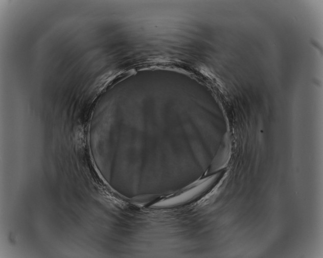 X0000091681353200709131539