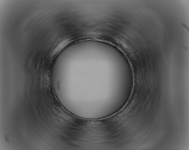 X0000091681354200709131539