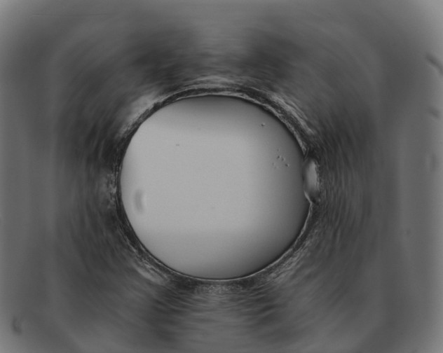 X0000091681355200709131539