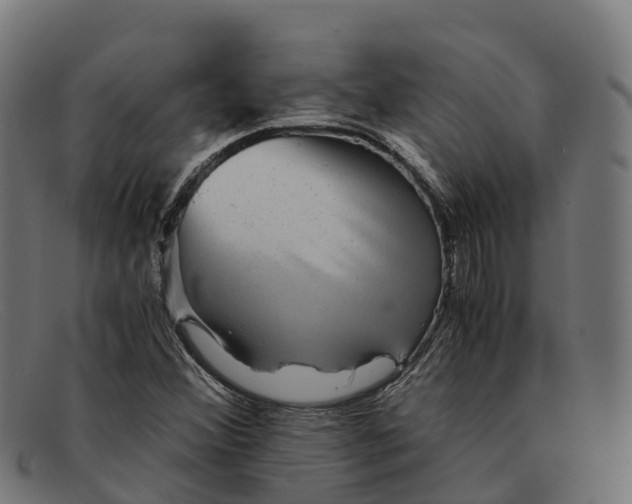 X0000091681356200709131539