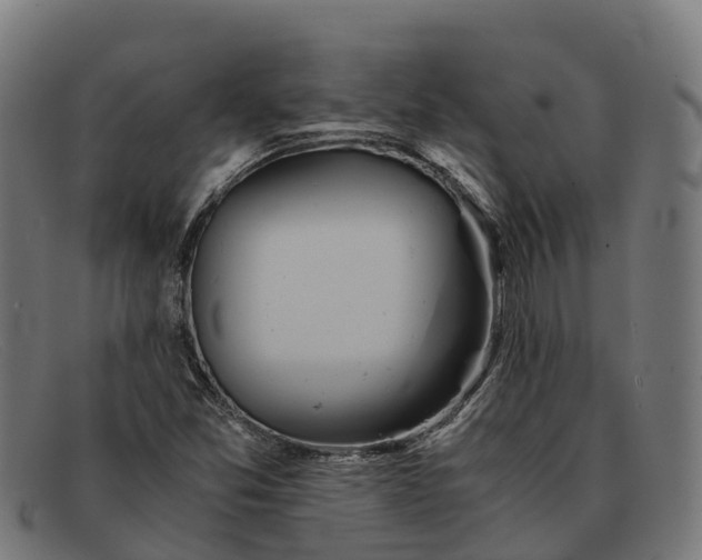 X0000091681357200709131539