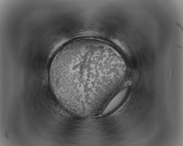 X0000091681358200709131539