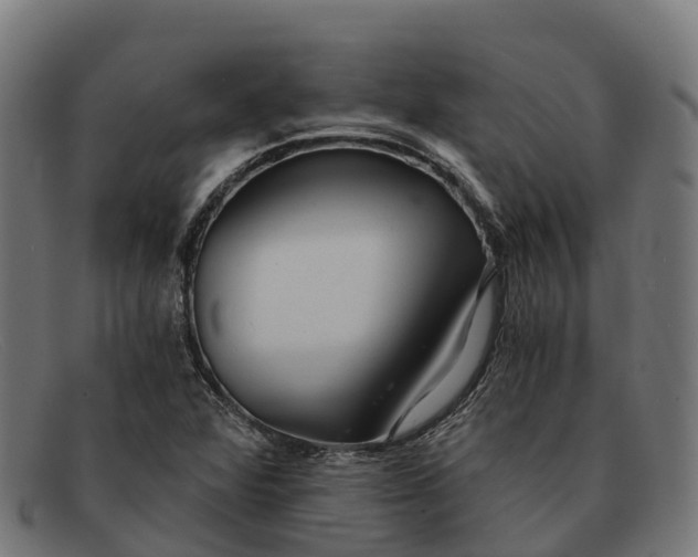 X0000091681360200709131539