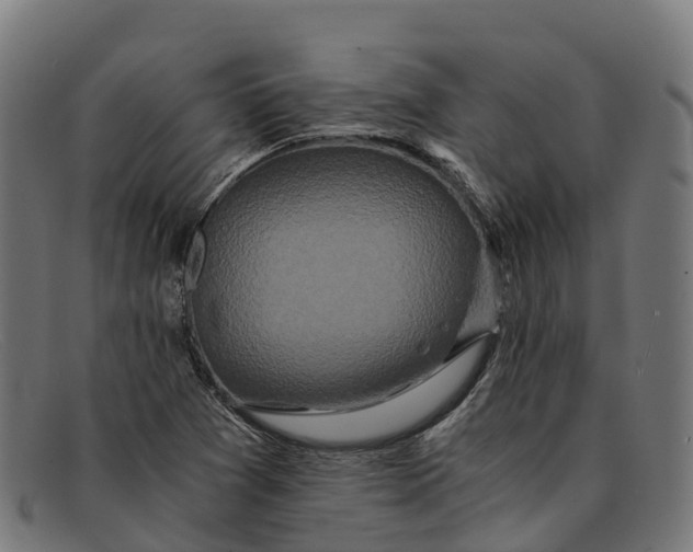 X0000091681361200709131539
