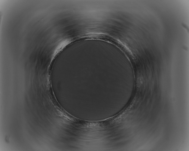 X0000091681362200709131539