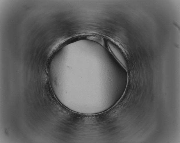 X0000091681363200709131539