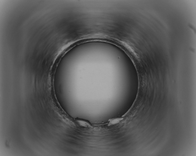 X0000091681364200709131539