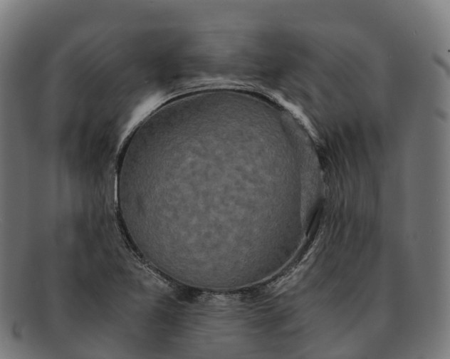 X0000091681365200709131539