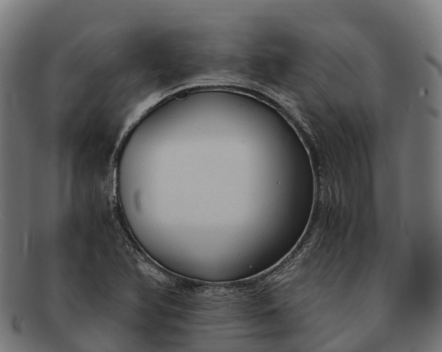 X0000091681366200709131539