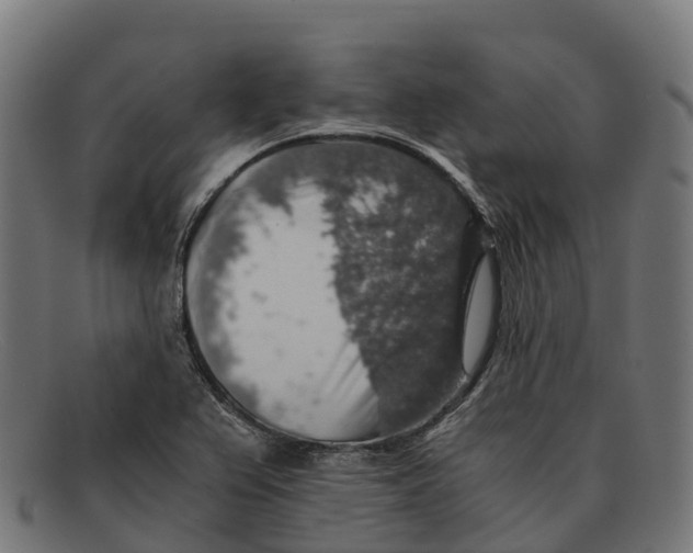 X0000091681367200709131539