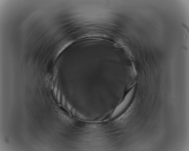 X0000091681369200709131539