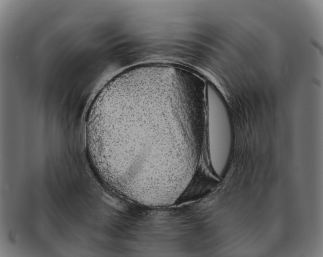 X0000091681371200709131539