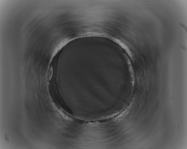 X0000091681373200709131539