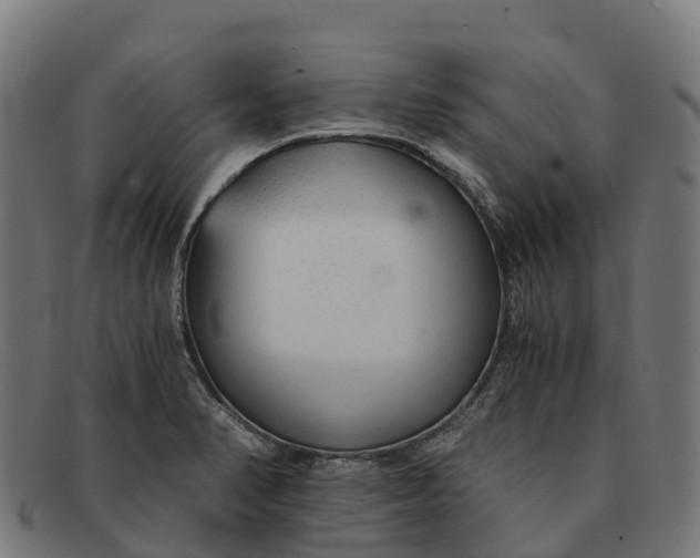 X0000091681374200709131539