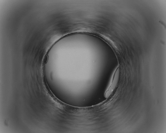 X0000091681375200709131539