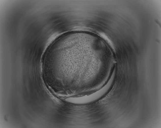 X0000091681376200709131539