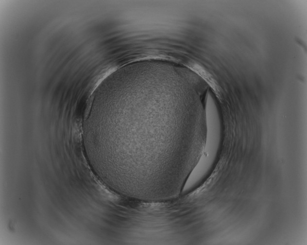 X0000091681377200709131539