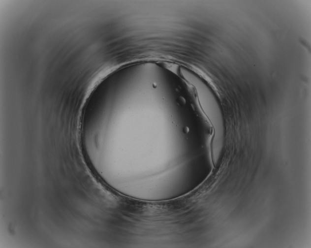 X0000091681379200709131539