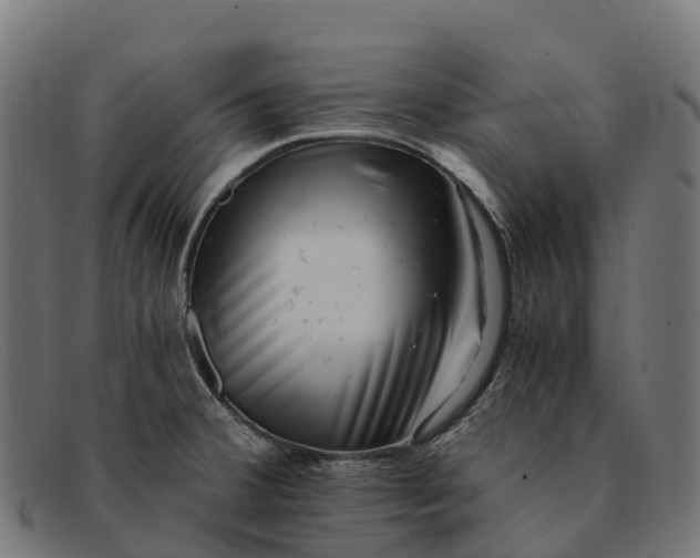 X0000091681380200709131539