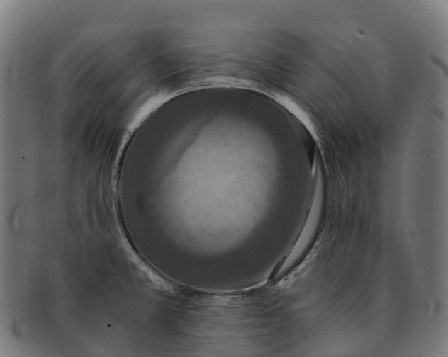 X0000091681381200709131539