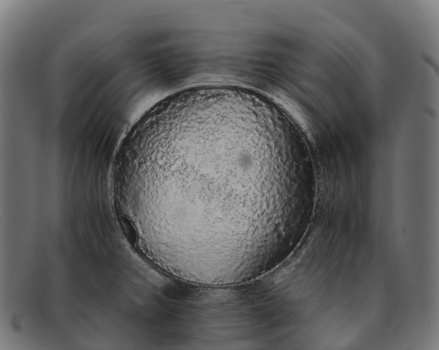 X0000091681382200709131539