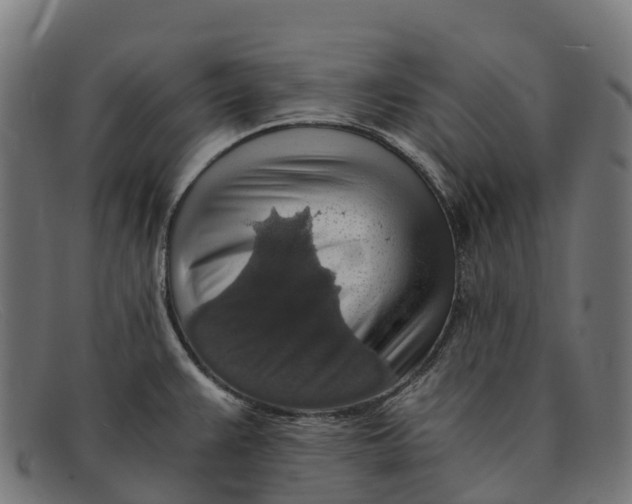 X0000091681383200709131539