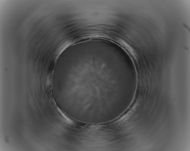 X0000091681385200709131539