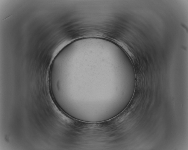 X0000091681387200709131539