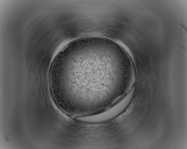 X0000091681389200709131539