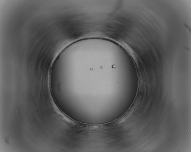 X0000091681390200709131539