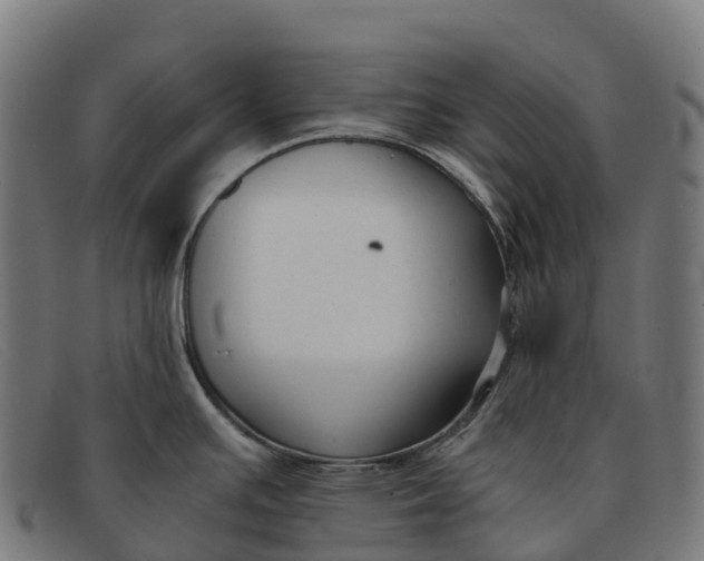 X0000091681391200709131539