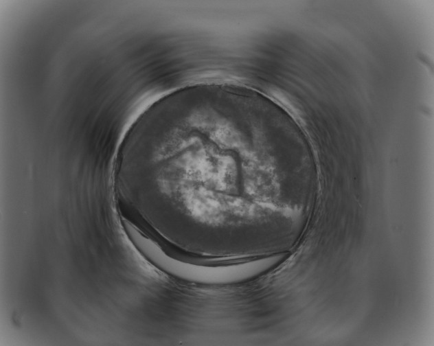 X0000091681392200709131539