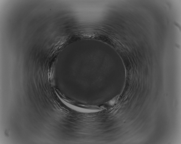 X0000091681394200709131538