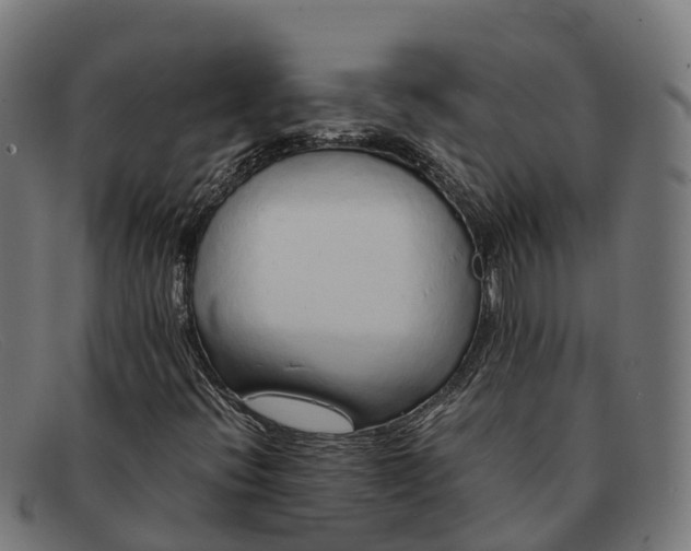 X0000091681396200709131538