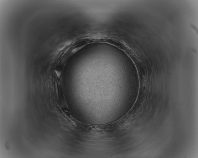 X0000091681398200709131538