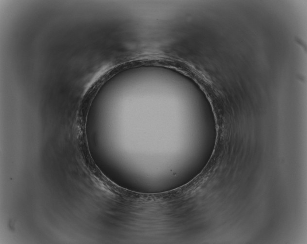 X0000091681400200709131538