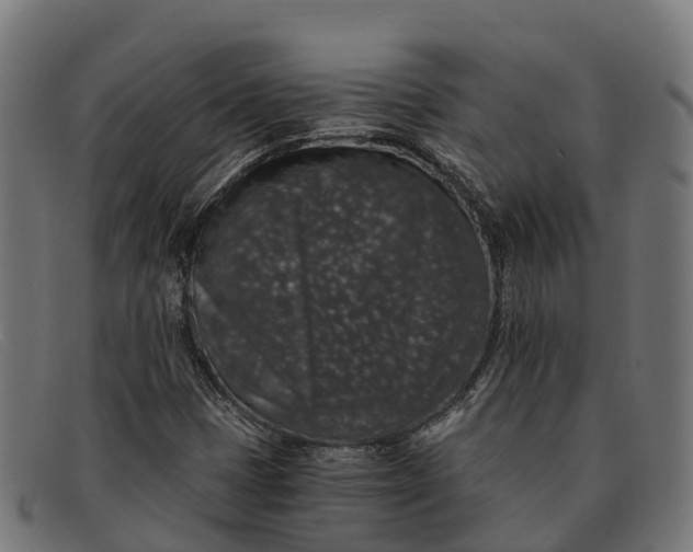 X0000091681401200709131538