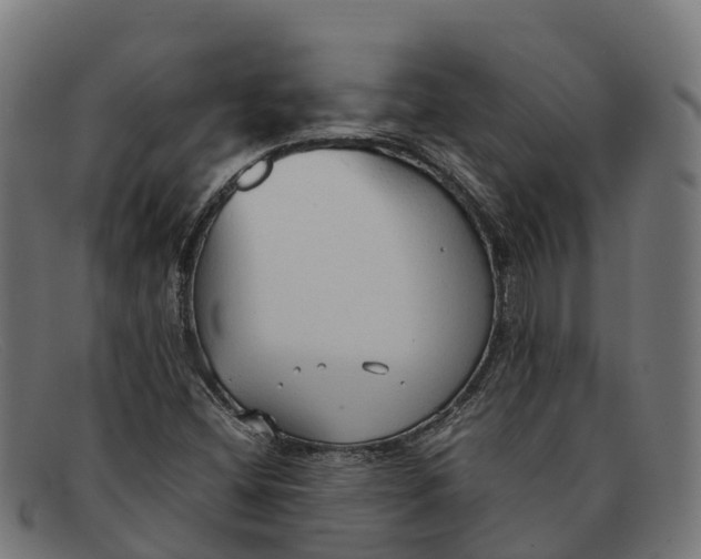 X0000091681404200709131539