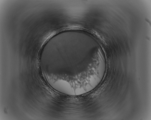 X0000091681405200709131539