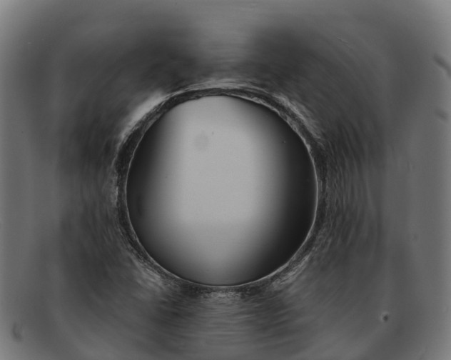 X0000091681406200709131539