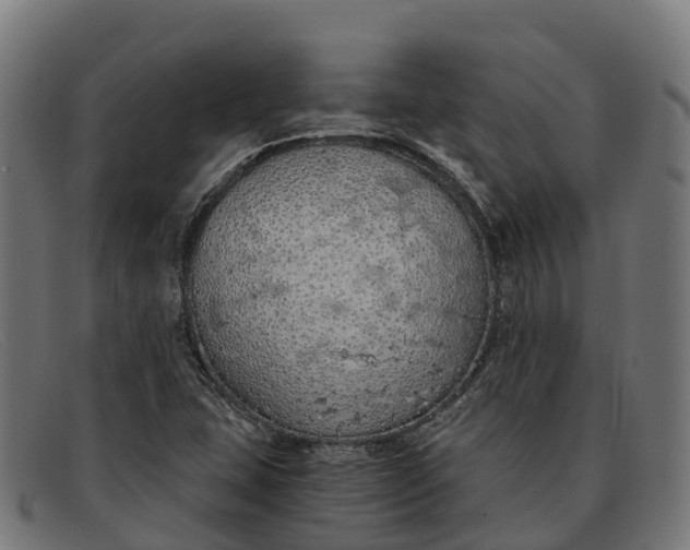 X0000091681407200709131539