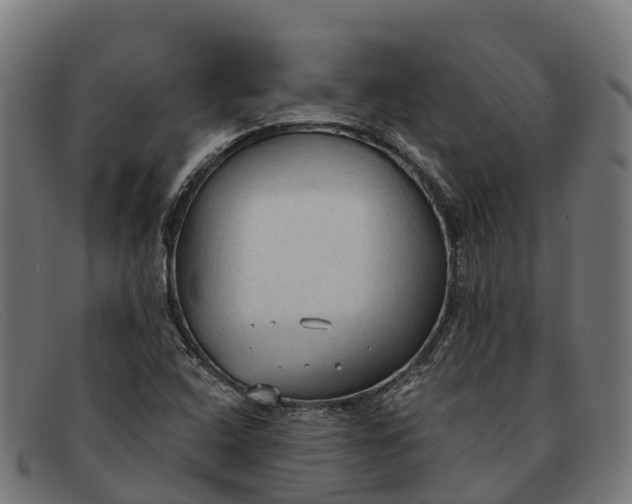 X0000091681408200709131539