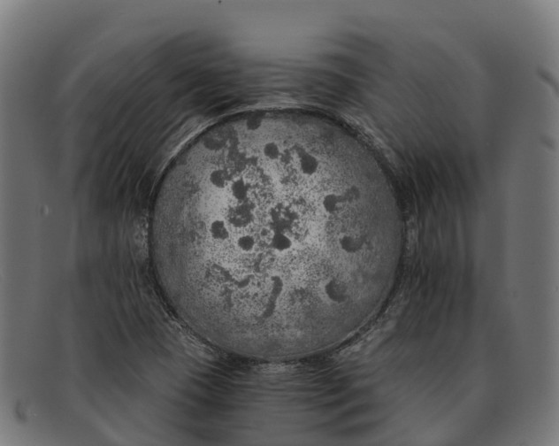 X0000091681409200709131539