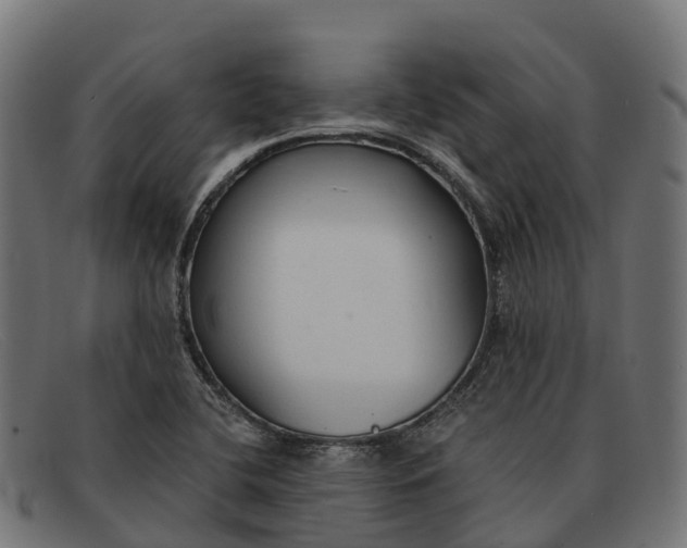 X0000091681412200709131539