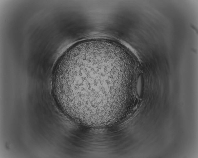 X0000091681415200709131539