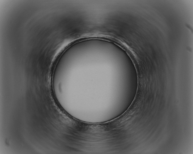X0000091681416200709131539