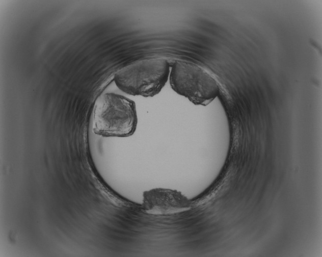 X0000091681417200709131539