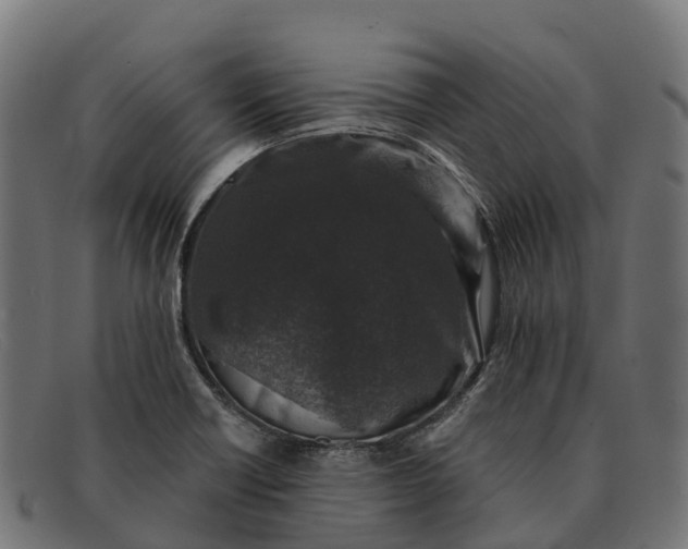 X0000091681418200709131539