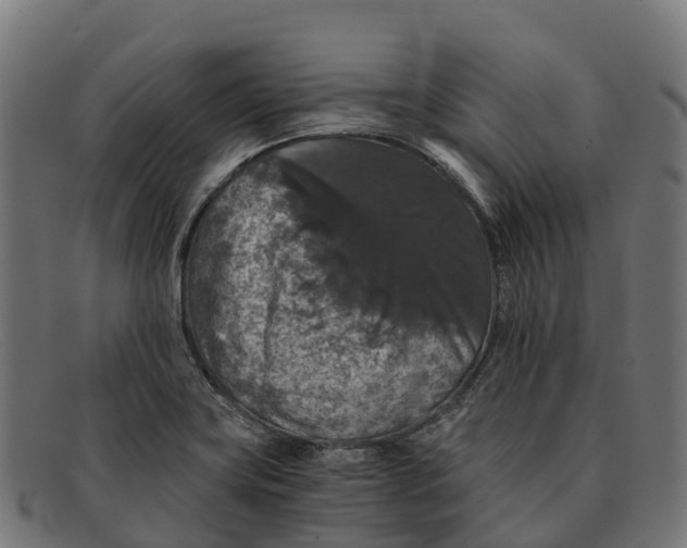 X0000091681419200709131539