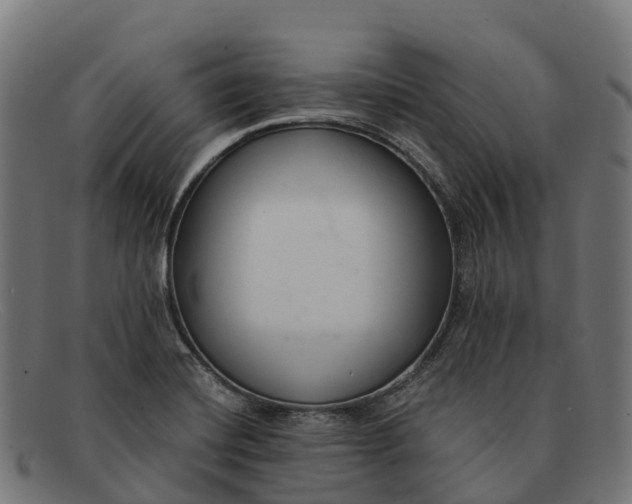 X0000091681420200709131539
